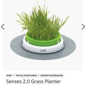 Catit Cat Grass planter + seeds
